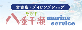 宮古島のダイビング・シュノーケリングは 八重干瀬マリンサービス